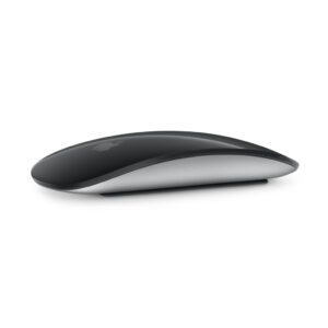Apple Magic Mouse 2024